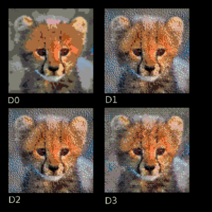 four variations of a cheetah cub portrait