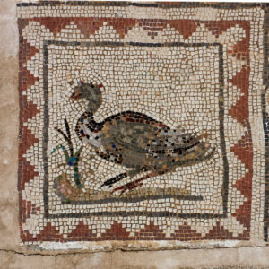 Goose mosaic, house of hte birds, Italica, Spain