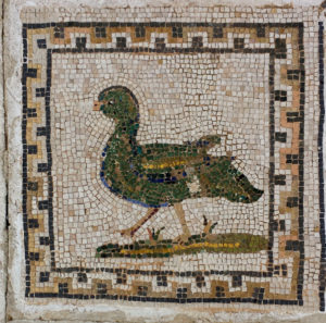 Mallard mosaic, House of the birds, Italica, Spain