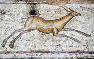 Gazelle from Byzantine birds mosaic, Caesarea, th