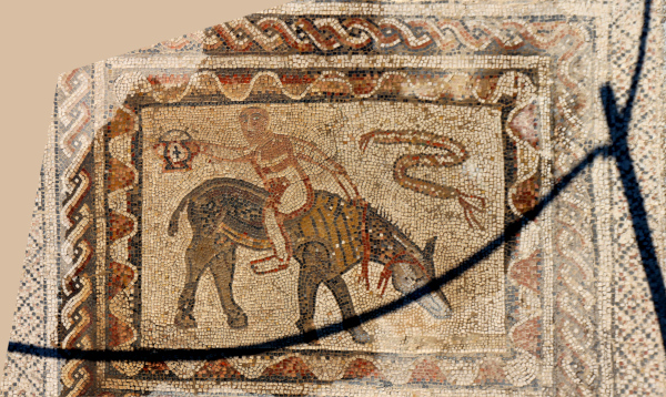 Viático de Vagamundo: Volubilis roman marble floor mosaics 