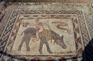Desultor mosaic, Volubilis, Morocco, 2nd-3rd century AD