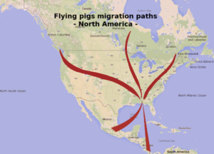 Flying pigs North American migration routes