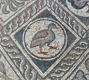early Christian mosaic of a duck encased in meander illustrating the permanence of patterns of meander