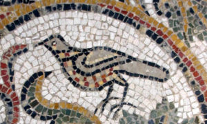 Don't you love this little bird ! He is characteristic of the regional mosaic style of the late 4th century.