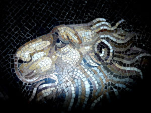 Lion head of the Chimera, Bellerophon mosaic, Autun