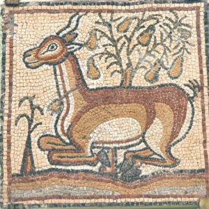 pet oryx mosaic - 6th century, Qasr Lybia